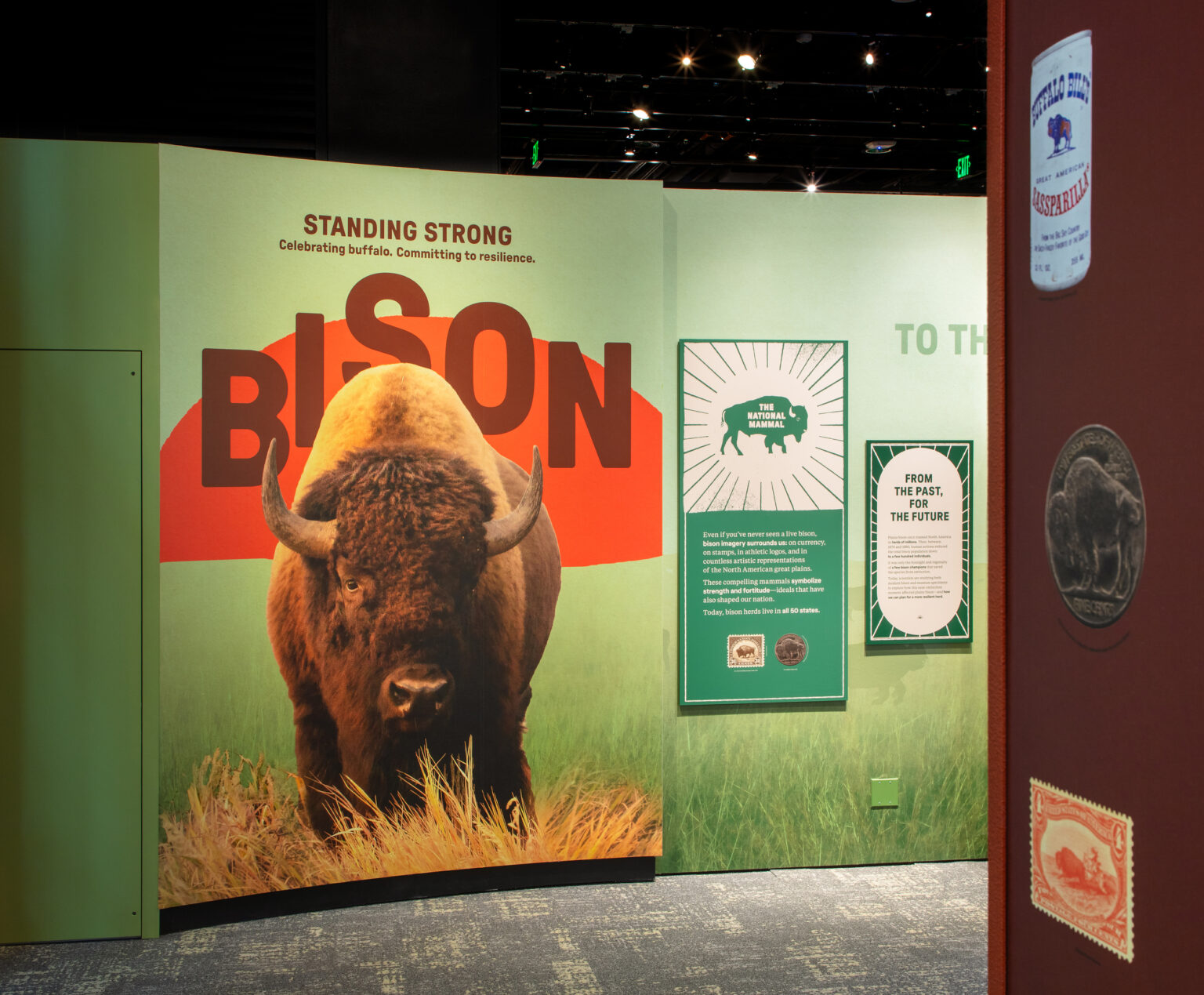 panel at the Bison standing strong exhibit featuring a bison.