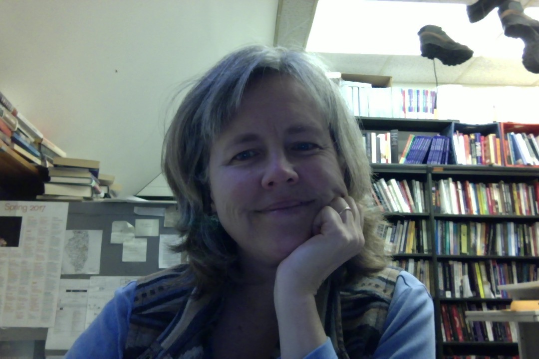 Kristin Hoganson, Director of Undergraduate Studies