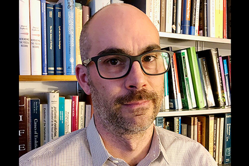 David Sepkoski