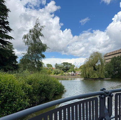 A pond with trees and blue skies. 