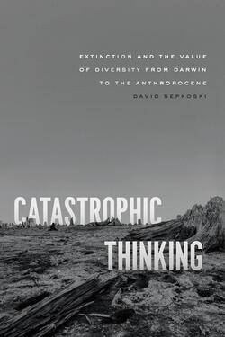 Catastrophic Thinking book cover