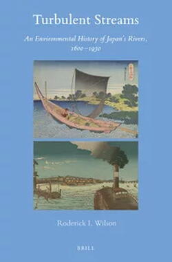 Turbulent Streams book cover